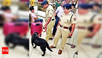 On murder suspect’s trail, police dog runs 8km, saves Karnataka woman’s life | Bengaluru News - Times of India