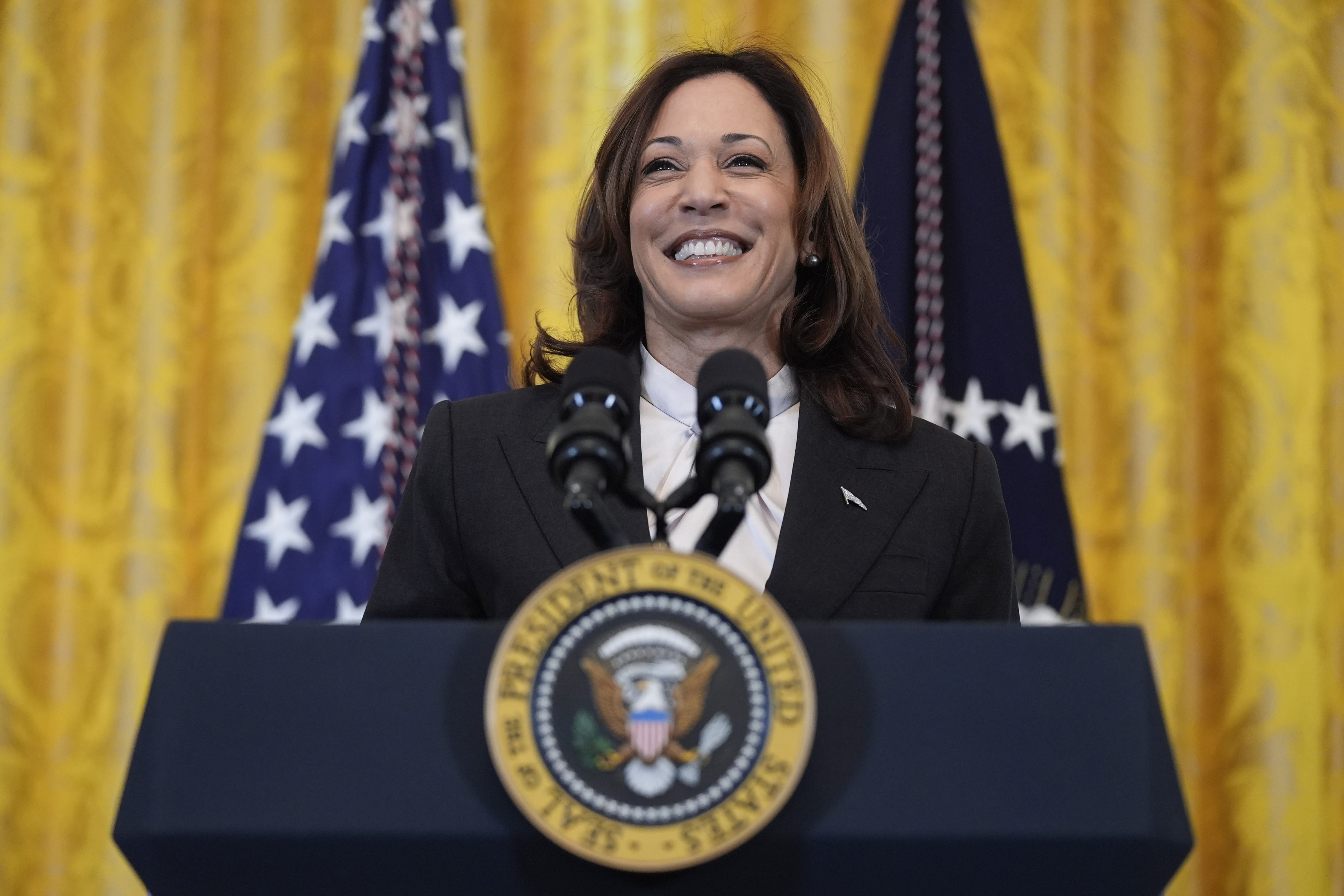 Democrats rally behind Kamala Harris in bid to avert divisive party convention