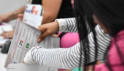 Ni Claudia ni Xóchitl: el desapego marca el voto mexicano en el exterior