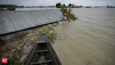 Heavy rains trigger landslides in Nepal, 11 killed, 8 missing