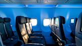 Main Cabin vs. Basic Economy: How to Pick the Best Fare for Your Trip