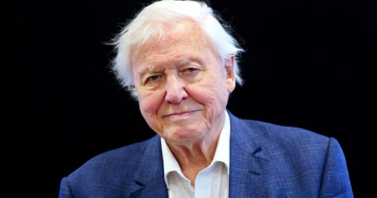 David Attenborough sparks concern after National Television Awards absence