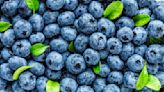 The US Produces The Most Blueberries Worldwide By A Landslide