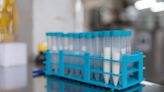 Study confirms infection in mice fed H5N1-contaminated raw milk