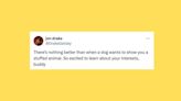 29 Of The Funniest Tweets About Cats And Dogs This Week (July 13-19)