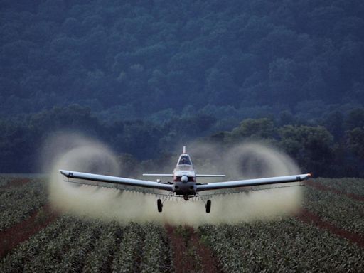 Cancer Risk From Pesticides Comparable To Smoking For Some Cancers