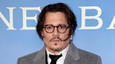 Johnny Depp Plays Gibberish-Speaking Puffin in Next Film
