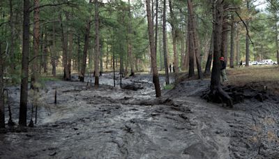 Rain and Floods Hit New Mexico Region Ravaged by Wildfires