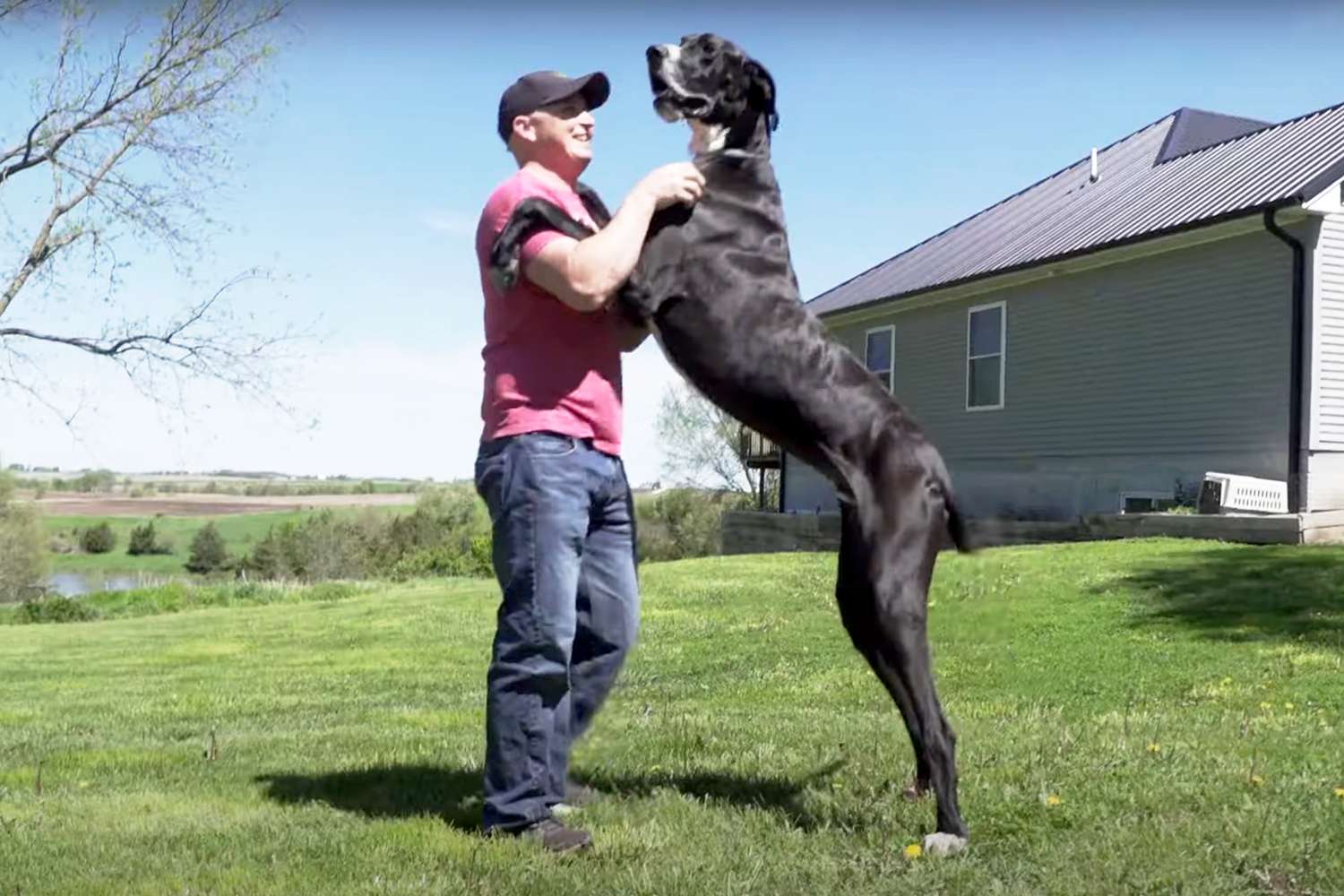World’s Tallest Dog Dies Days After Getting Record: 'He Was Just the Best Giant Boy'