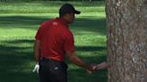 Tiger Woods shaking hands with a tree is one of golf's funniest memes