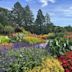 Minnesota Landscape Arboretum