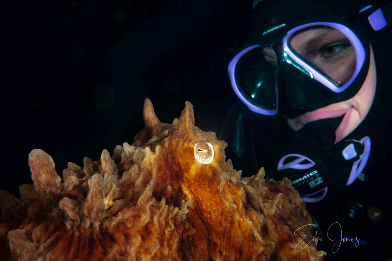 'Never felt so magical:' B.C. 'octopus whisperer's' close-knit bond with species lands her spot in James Cameron docuseries