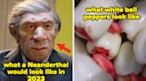 I'm An Incredibly Dumb Man So My Brain Was Completely Blown After Seeing These 22 Absolutely Incredible Pictures For The...