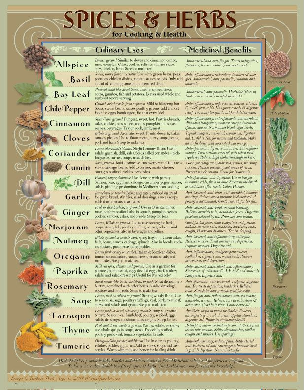 herb spice chart