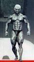 Lee Priest