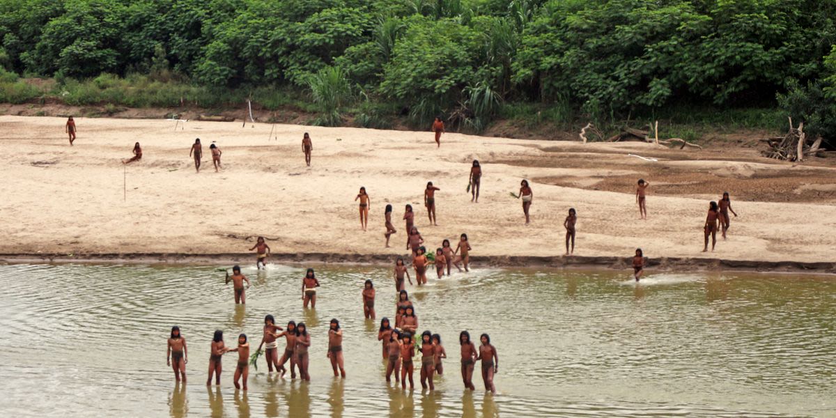 Rare Video Shows Isolated Indigenous Tribe Emerging From Amazon Amid Nearby Logging