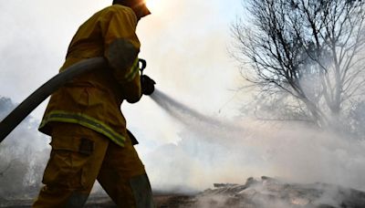 Contaminación por incendios forestales de la última década mató a 52,000 personas en California: estudio
