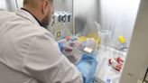 Andalucía ultima la actualización de su plan para enfermedades raras