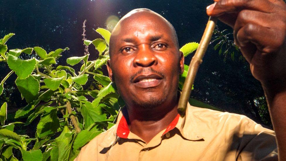 The Kenyan enthralled by the healing power of plants