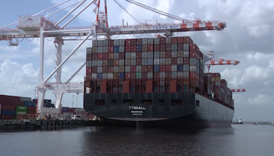 Harbor pilot averts disaster, stops cargo ship from crashing at Port Tampa Bay