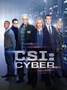 CSI: Cyber