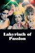 Labyrinth of Passion