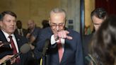 Did Chuck Schumer Just Come Out Against Top-Down AI Licensing?