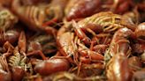 Restaurant Scene: Louisiana’s crawfish shortage won’t stop Champy’s | Chattanooga Times Free Press