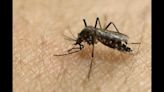 Seventh case of Zika detected in Pune