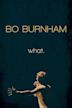 Bo Burnham: what.