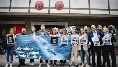 Legisladores europeos exigen la liberación del activista Paul Watson