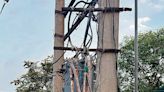 PSPCL detects 14 electricity theft cases
