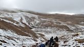 En El Calafate: hallan restos del mamífero más grande que convivió con los dinosaurios