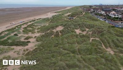 Lytham St Annes: Sand dunes project a success, say conservations