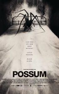 Possum