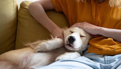 New Study Finds One Way Raising A Puppy Is Actually Like Having A Baby