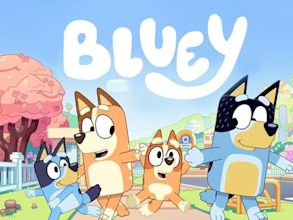 Bluey (2018 TV series)