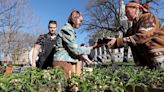 Dane County Farmer's Market starts another season of counter-clockwise crowds