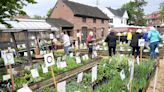 Karen Brown: Historic Annapolis celebrates 50 years of William Paca Garden and Plant Sale | COMMENTARY