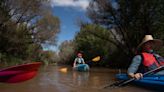 Green is the Verde: How an Arizona river became a water conservation success story, for now