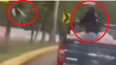 Video Viral: ¿Lo reconoces? Lanzó gatitos desde camioneta en Edomex
