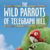 The Wild Parrots of Telegraph Hill