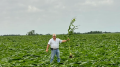 Nearly 75,000 still without power following Midwest derecho on Thursday