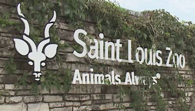 Summer hours returning to Saint Louis Zoo along with events