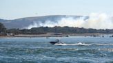 Heatwave blaze near Dorset beach tackled by 90 firefighters 'started by disposable barbecue'