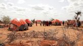 Famine risk rises in Somalia as rains fail, food prices soar - U.N