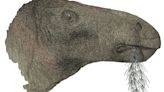 'Most complete dinosaur' in a century unearthed in UK