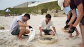 Contaminación en A Mariña: así son las bolitas de fuel que se avistan en varias playas