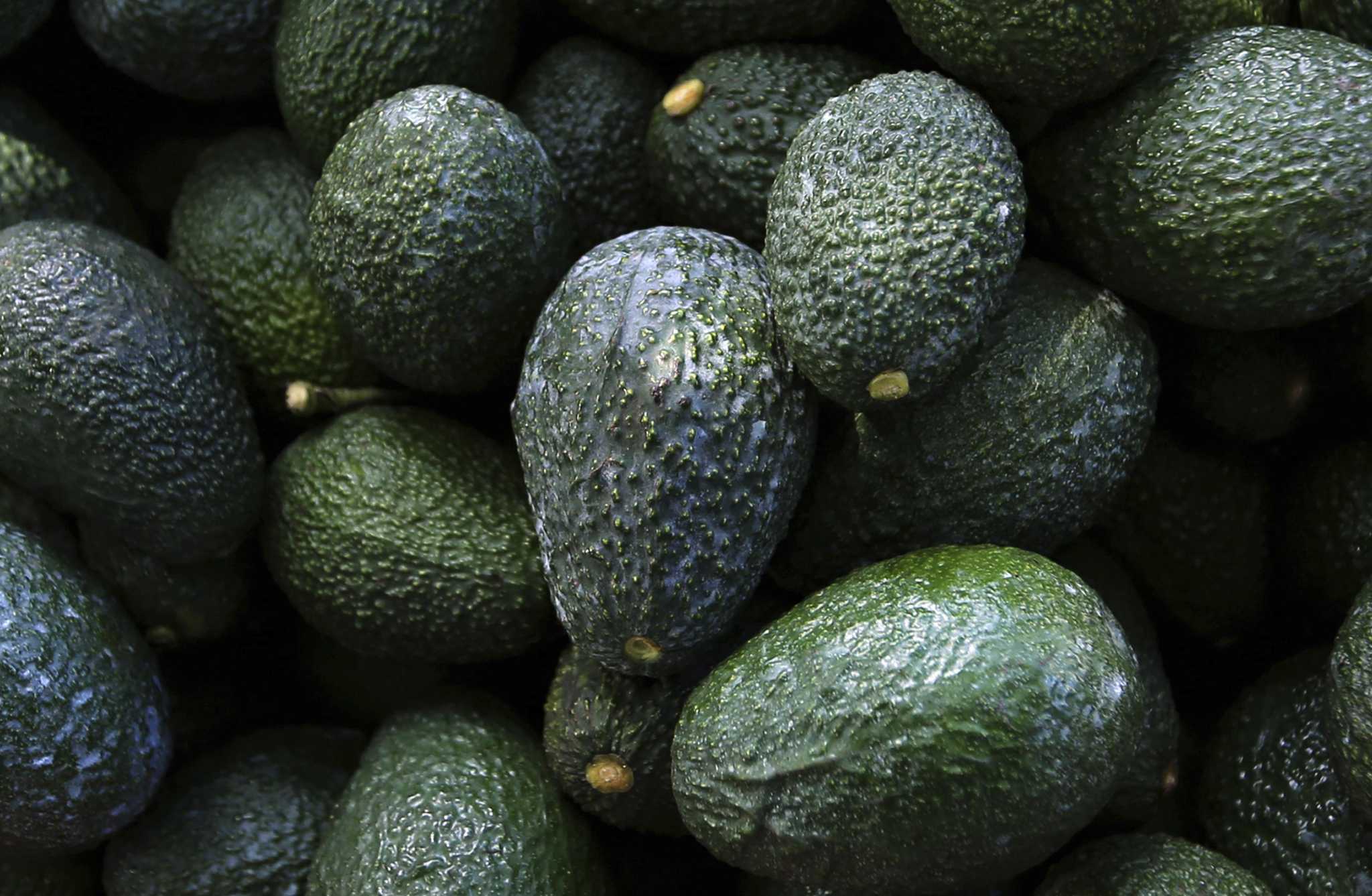 Texas grocery store wins world record for largest avocado display