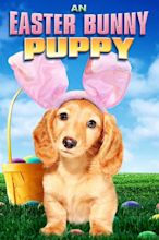 An Easter Bunny Puppy (2013) — The Movie Database (TMDB)